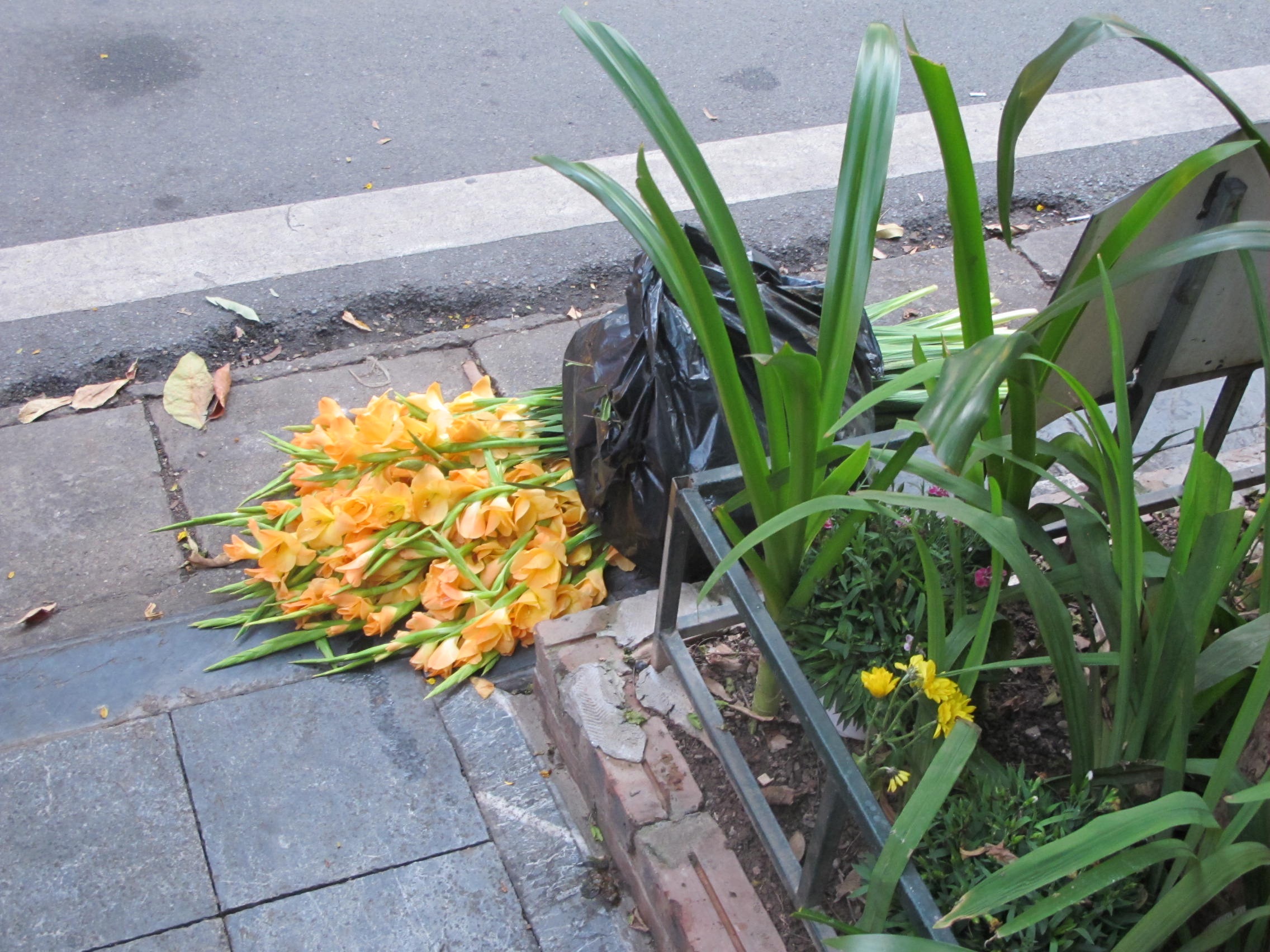 some yellow rubbish in hanoi how aesthetic !